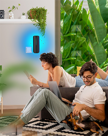 fly trap for indoors