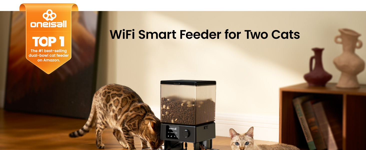 automatic cat feeder