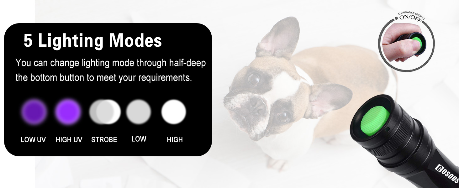 uv flashlight blackclight for scorpion