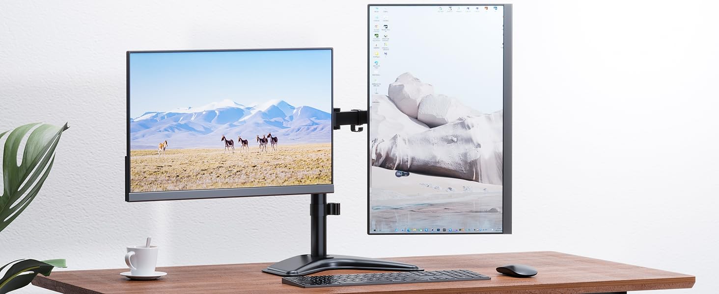 Dual Monitor Stand Desk Mount for 2 Momintors