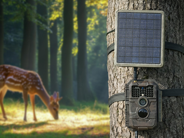 solar panel