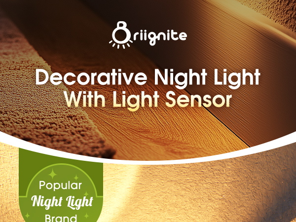 decorative auto-on/off light sensor night light