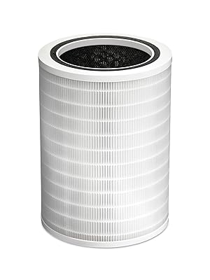 clorox air filter