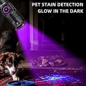 Pet Urine Detector