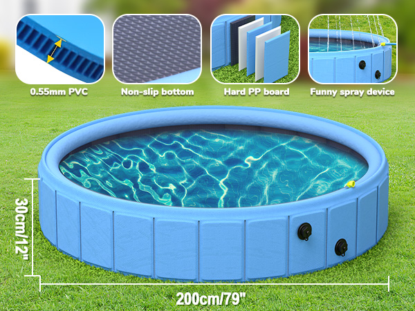 dog pool