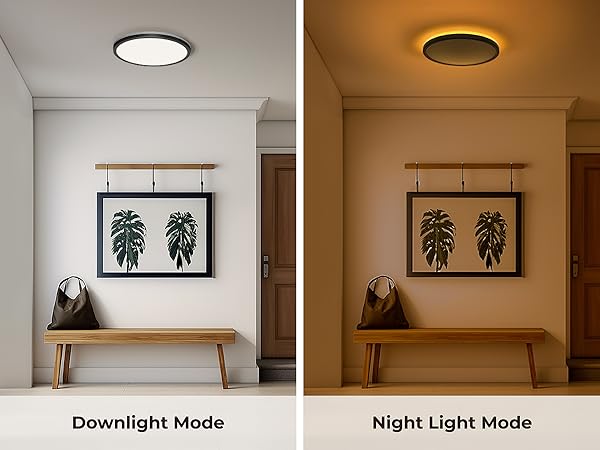 remote control ceiling light