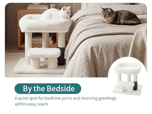 Cat Scratching Post