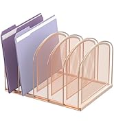 SUPEASY File Organizer for Desk, 5-Section Mesh Desk Organizer, Vertical File Holder Desktop Orga...