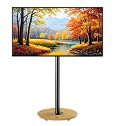 Floor TV Stand