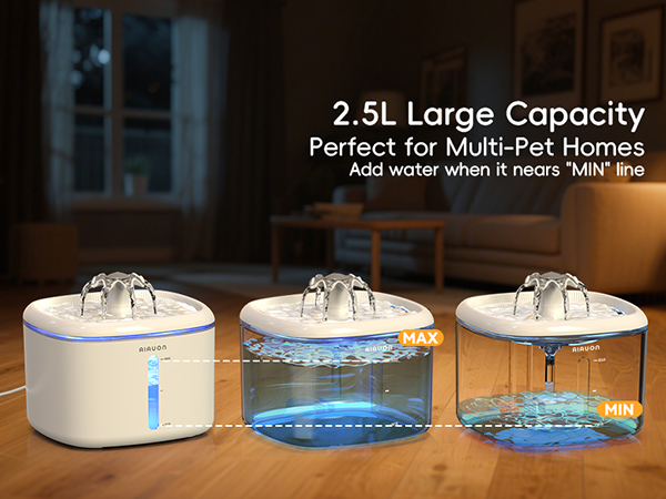 cat fountains for drinking