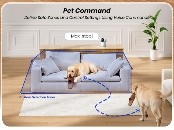 pet camera on a console using audio to address a Labrador on a sofa, with a custom detection zone