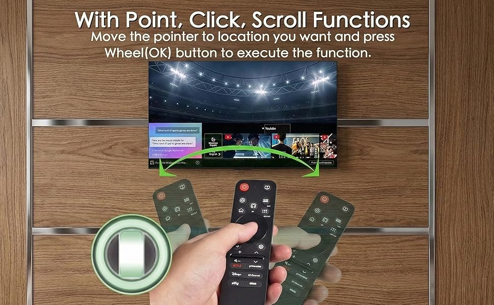 voice and pointer function