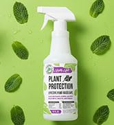 Mighty Mint Peppermint Oil Plant Protection Spray – Insect &amp; Pest Control for Gnats, Spider Mites...