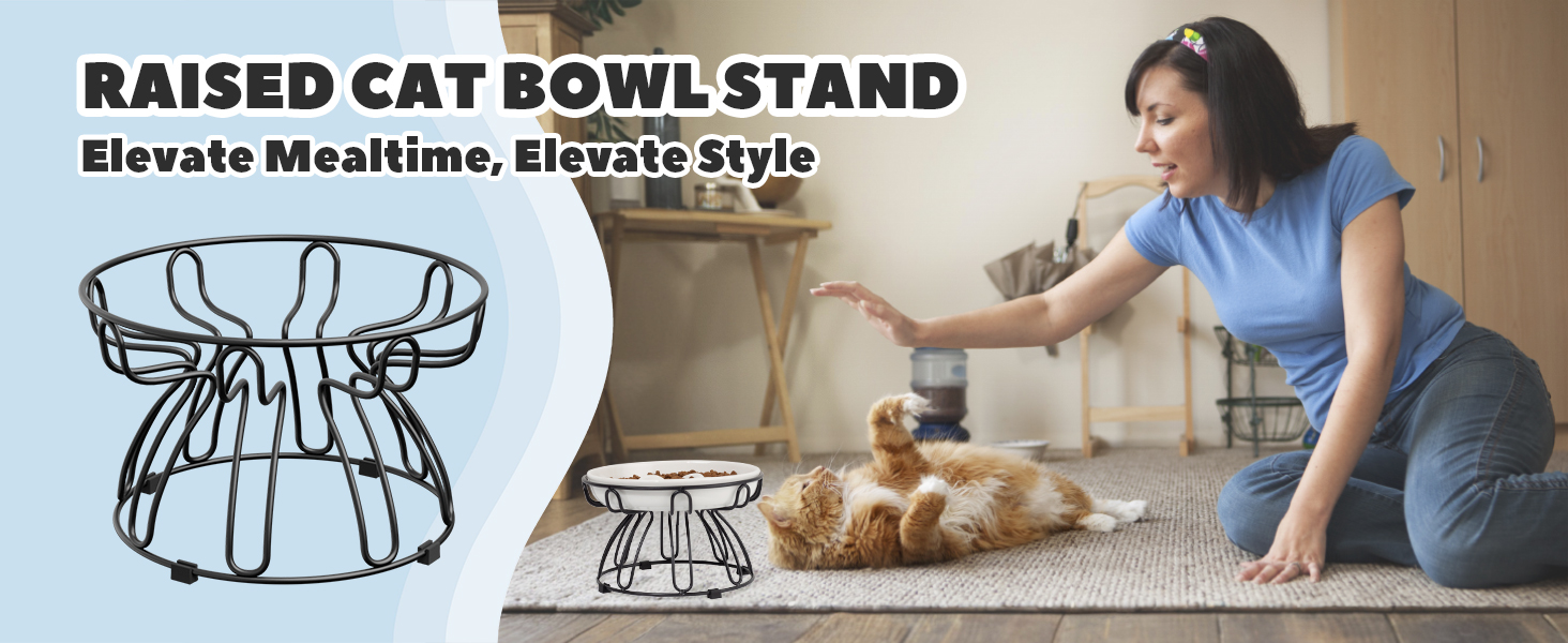 raised cat dish