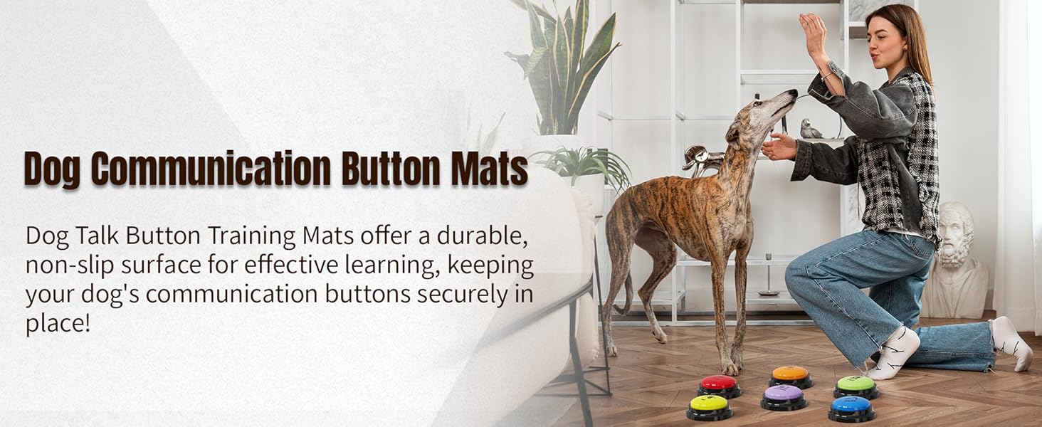 voice recording button