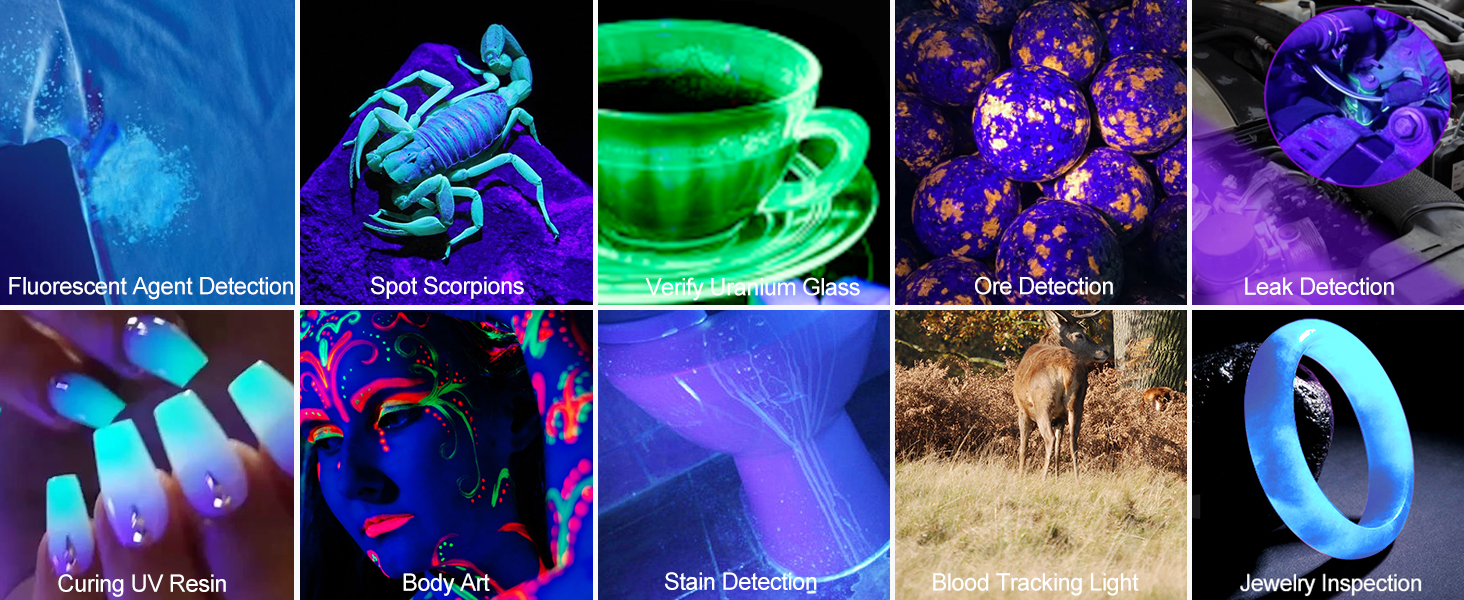 Multi-function UV flashlight