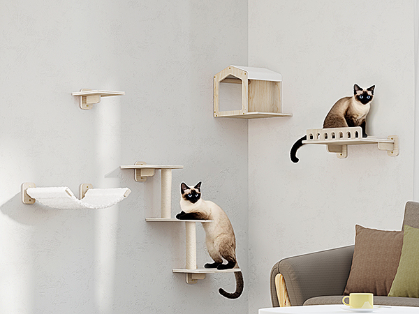 cat wall shelves