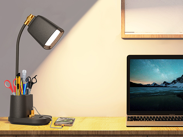 LED Desk Lamp