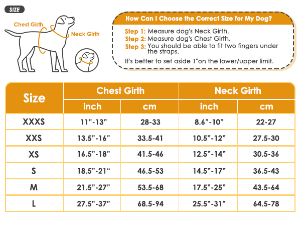 dog car harness size