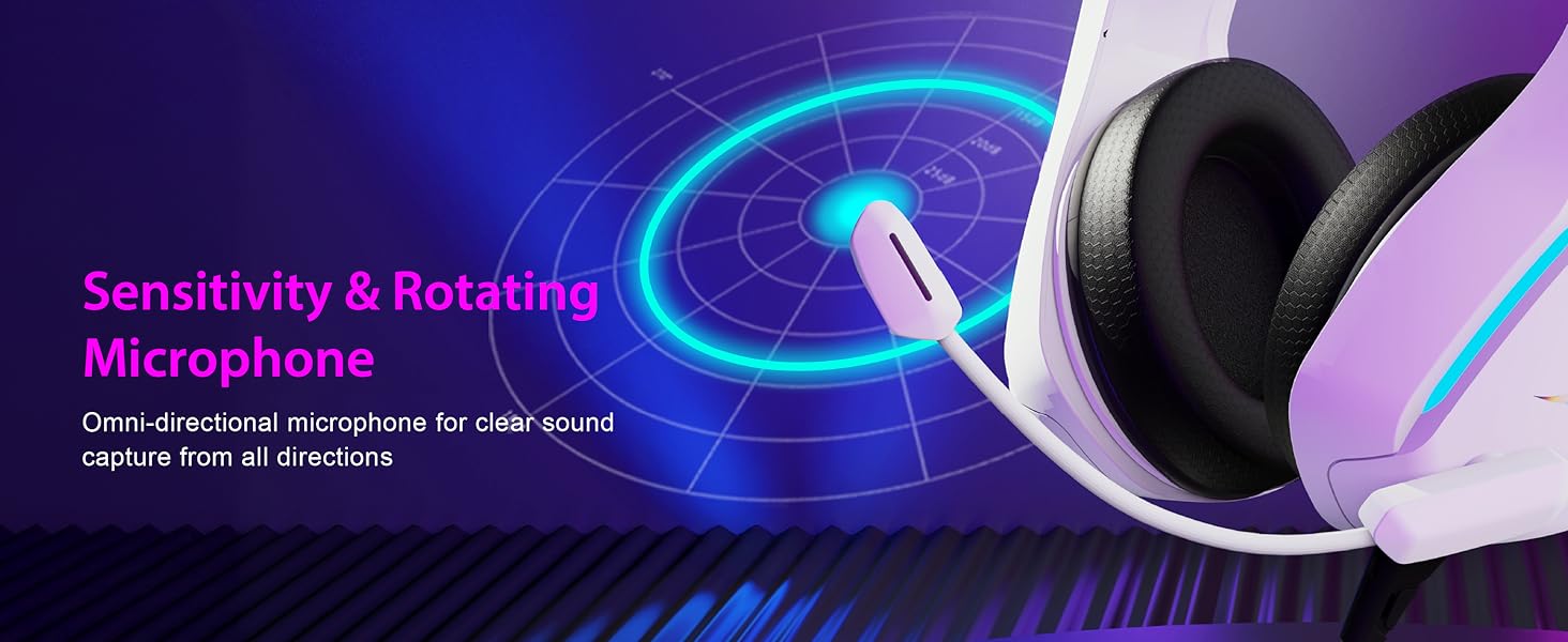Sensitivity microphone