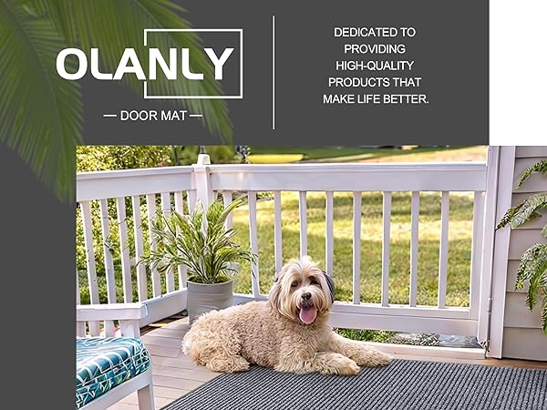 door mat