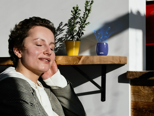 wireless Bluetooth speaker