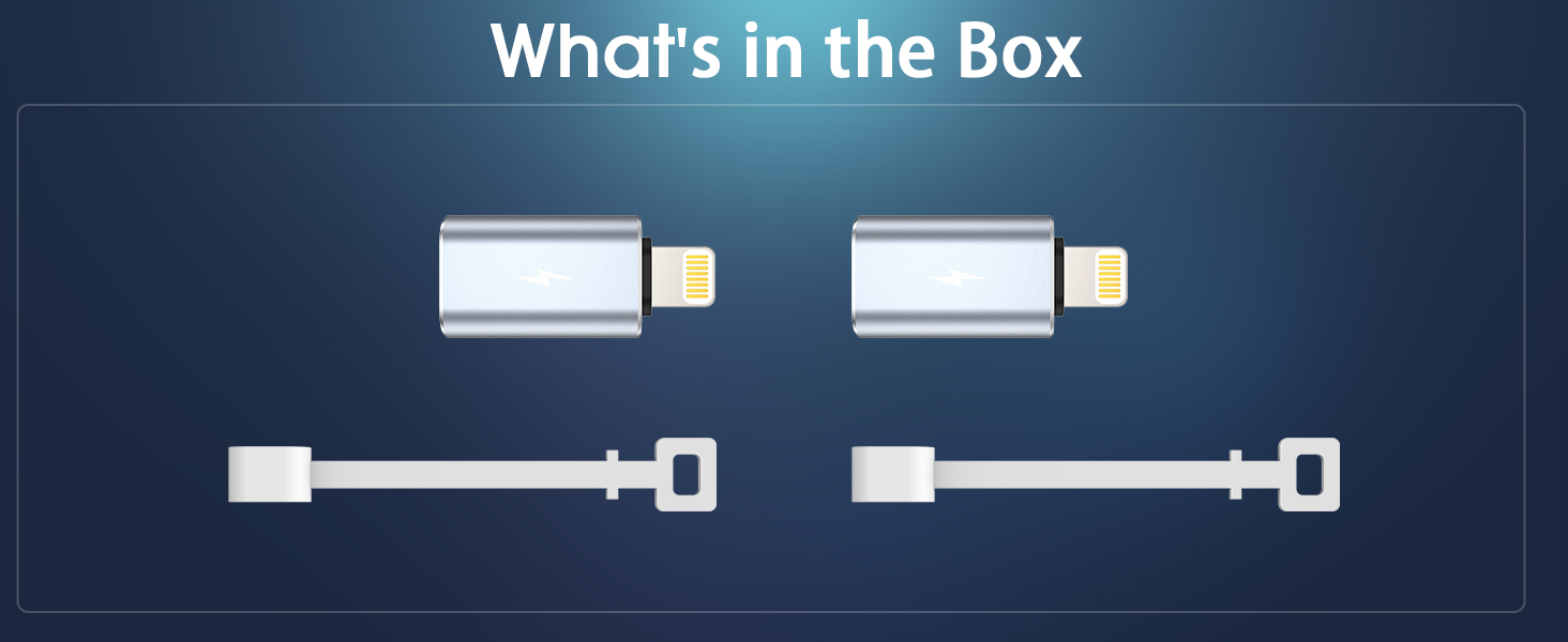 TechMatte USB C to Lightning Adapter
