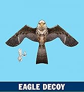 PESTEZE Flying Hawk 54 x 30 Inch Kite Bird Scarer with 13 ft Flagpole. Use in Yards &amp; Farms to Pr...