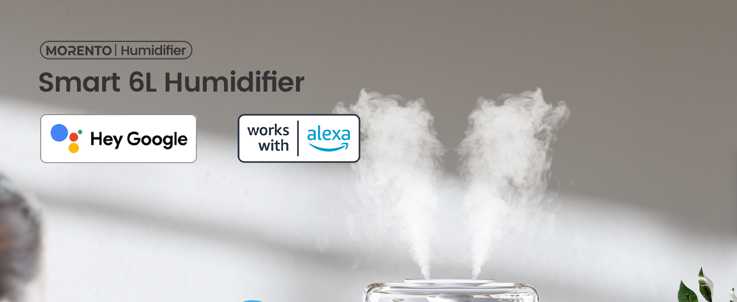 Smart 6L Humidifier