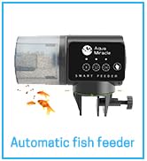 automatic fish feeder dispenser