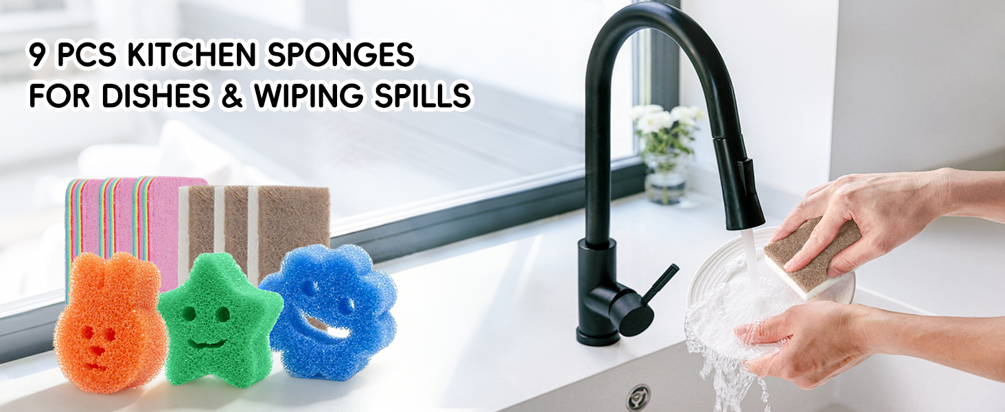 Kitchen Sponges
