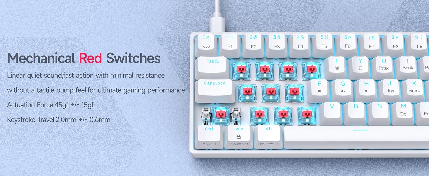 DK61SE- Red Switch