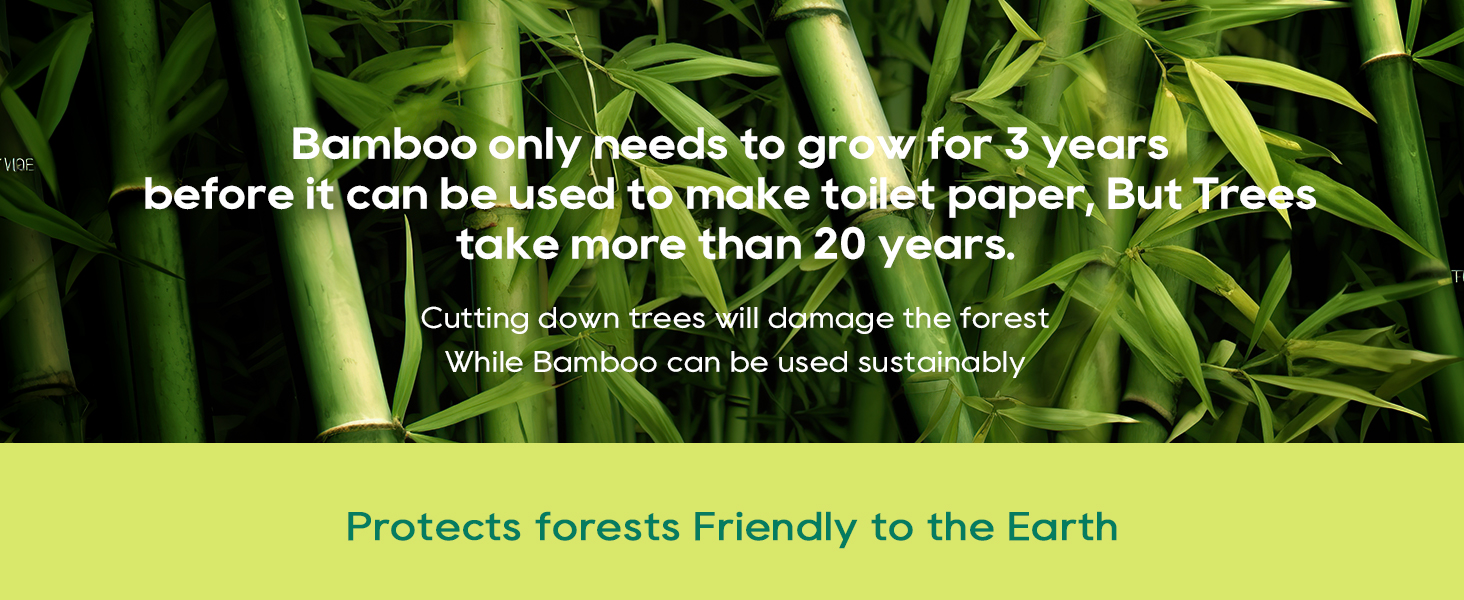 Tree-free paper towels