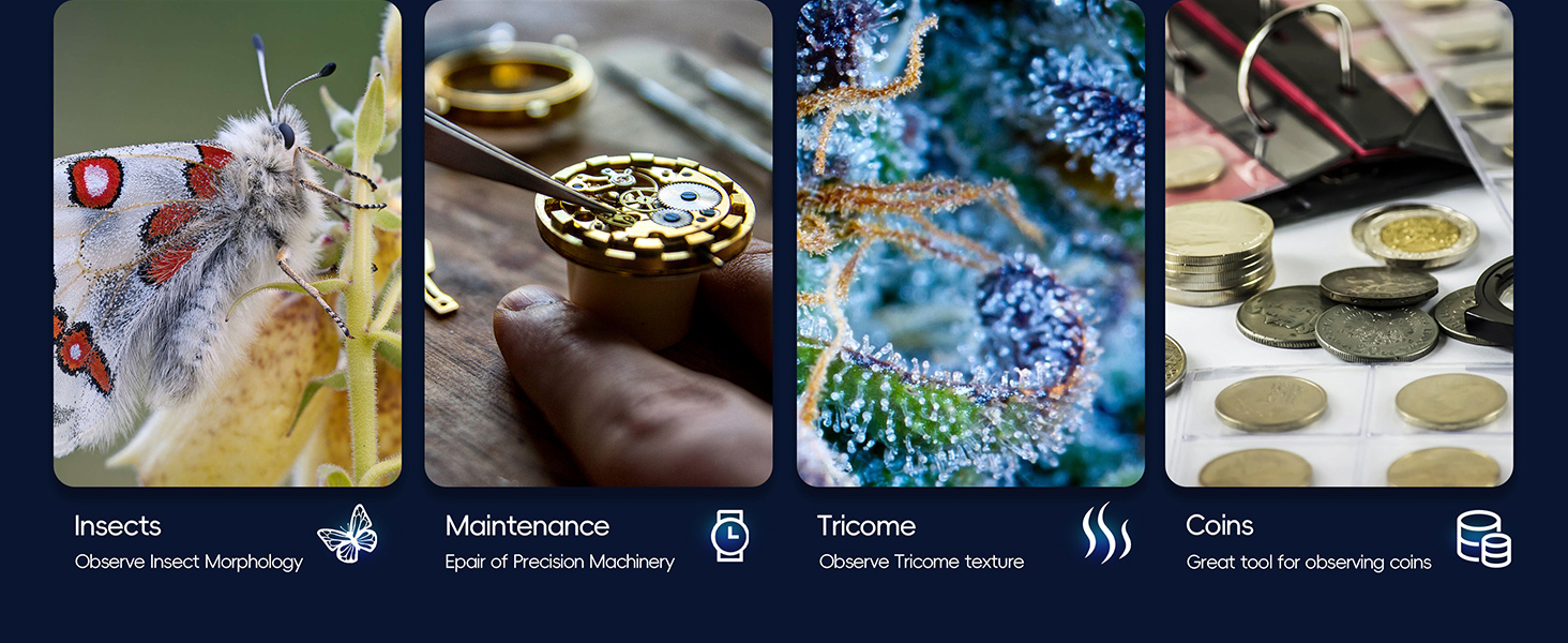 Four-panel collage showing food preparation and cooking process shots with steaming dishes and ingredient preparation.