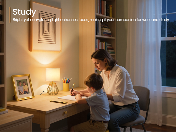 DCW06TL05 Table Lamp