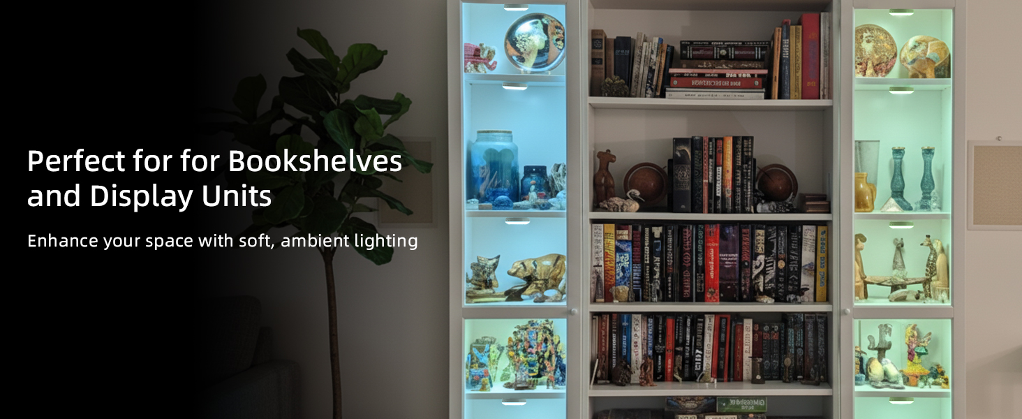 shelf lights