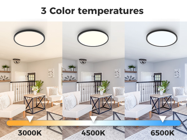 flush mount ceiling light