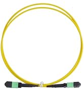 WSOLDMA MPO Fiber Patch Cord Cable 1M/3.3FT Single Mode 12-Core Female to Female Optical Cable 40...