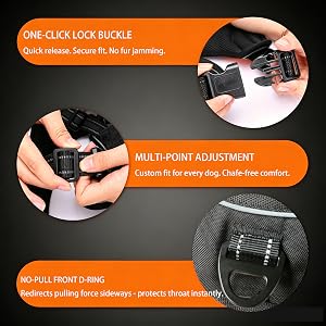 One-Quick Lock Buckle