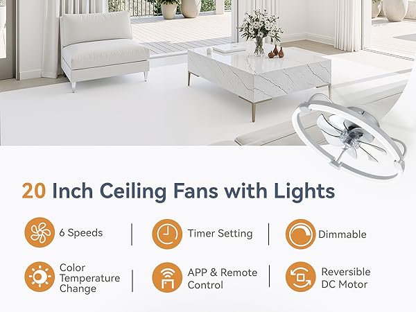 ceiling fan with light
