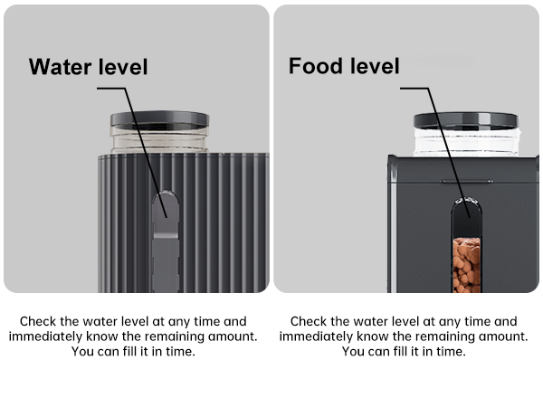 cat automatic feeder