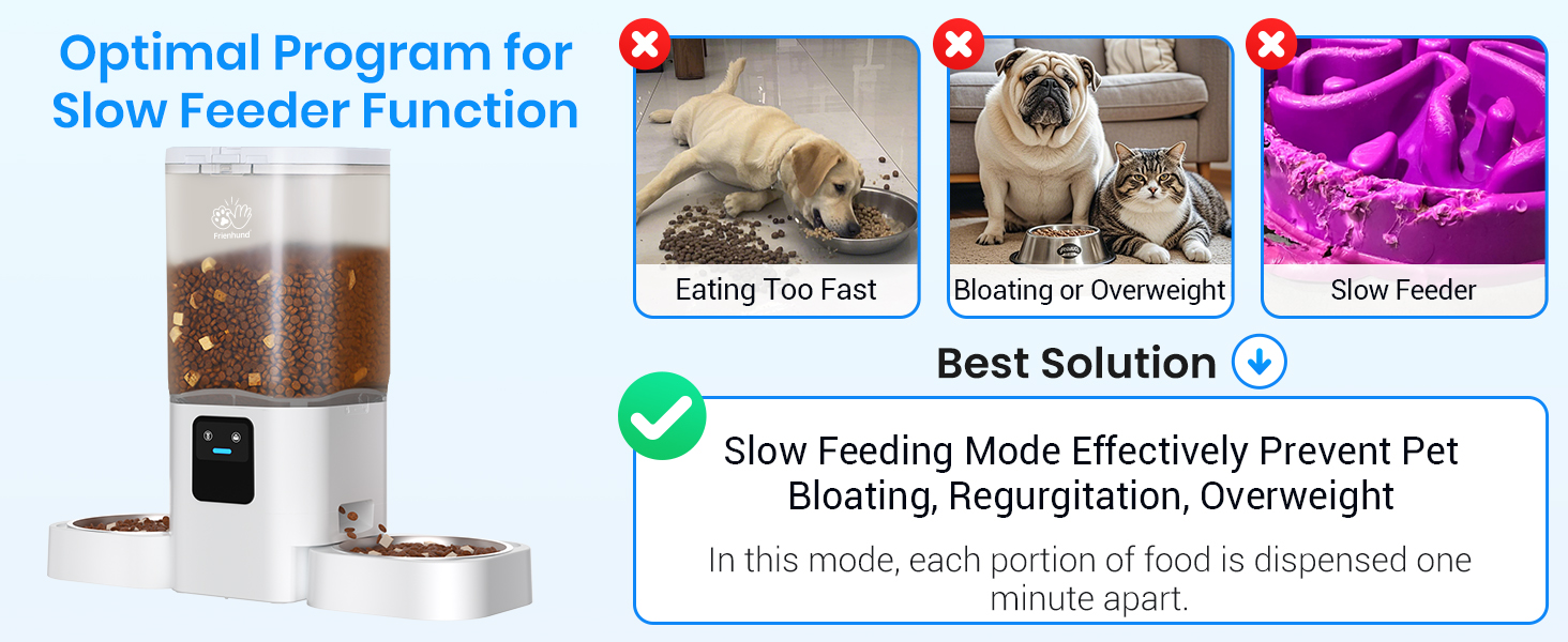 automatic cat feeder with app