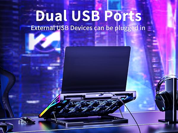 Dual USB Ports