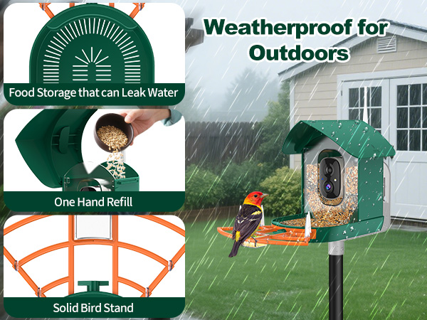 Multiple mounting options