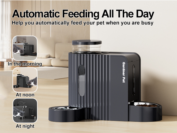 cat automatic feeder