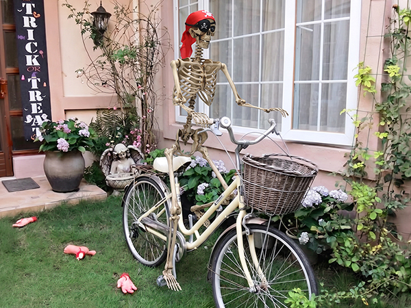 Pirate Life Size Skeleton