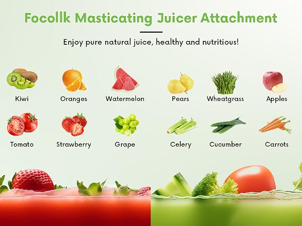 Masticating Slow Juicer Attachment 