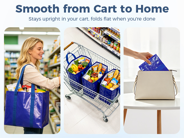 Reusable Grocery Bags