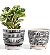 LE TAUCI Planters Pots for Indoor Plants, 5.5 Inch Boho Indoor Plant Pots, Succulent Plant Pots I...