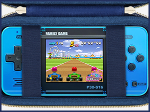 WELLST·G Handheld Game Case